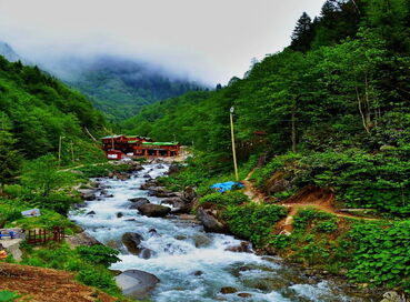 Karadeniz Yaylalar ve Batum Turu (4Gece Konaklama)