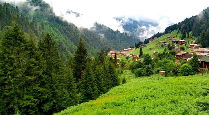 Karadeniz Yaylalar ve Batum Turu (4Gece Konaklama)