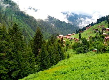 Karadeniz Yaylalar ve Batum Turu (4Gece Konaklama)