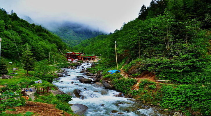 Karadeniz Yaylalar ve Batum Turu (3Gece Konaklama)